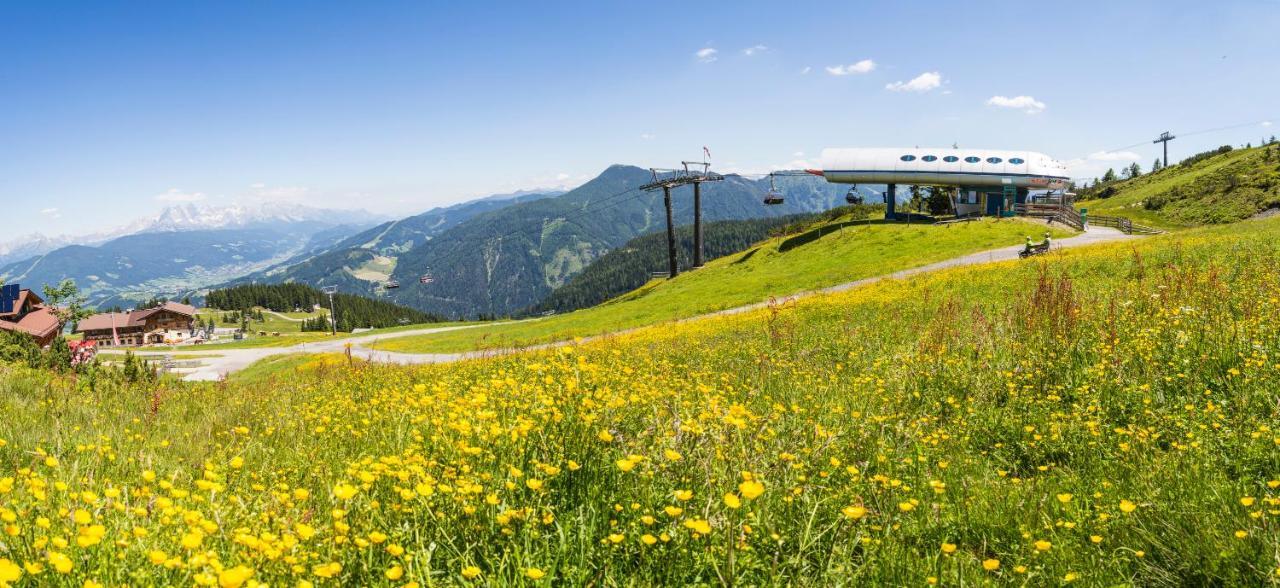 Gasthof Jandlalm Flachau Zewnętrze zdjęcie